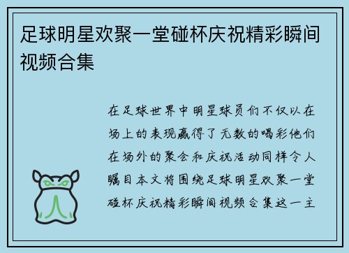 足球明星欢聚一堂碰杯庆祝精彩瞬间视频合集